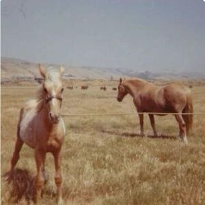 Meet your Posher, Lily